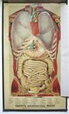 YAGGY, L. W. Yaggy''s Anatomical Study. 1886